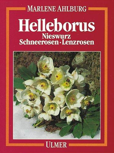 Helleborus. Nieswurz, Schneerosen, Lenzrosen