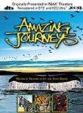 Amazing Journeys [UK Import]