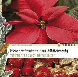 Weihnachtsstern und Mistelzweig: Mit Pflanzen durch die Winterzeit