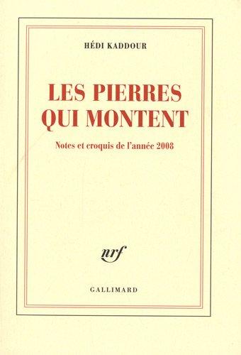 Les pierres qui montent : notes et croquis de l'année 2008