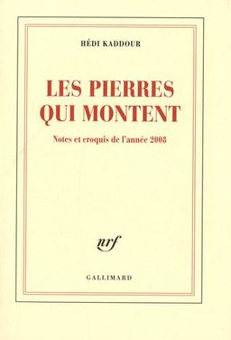 Les pierres qui montent : notes et croquis de l'année 2008