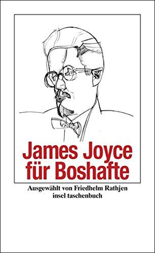 James Joyce für Boshafte (insel taschenbuch)