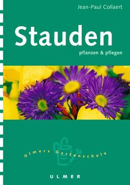 Stauden