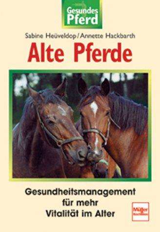 Alte Pferde. Gesundes Pferd.