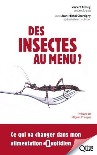 Des insectes au menu ? : ce qui va changer dans mon alimentation au quotidien