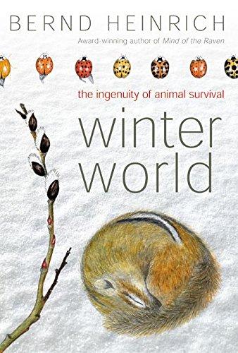 Winter World: The Ingenuity of Animal Survival