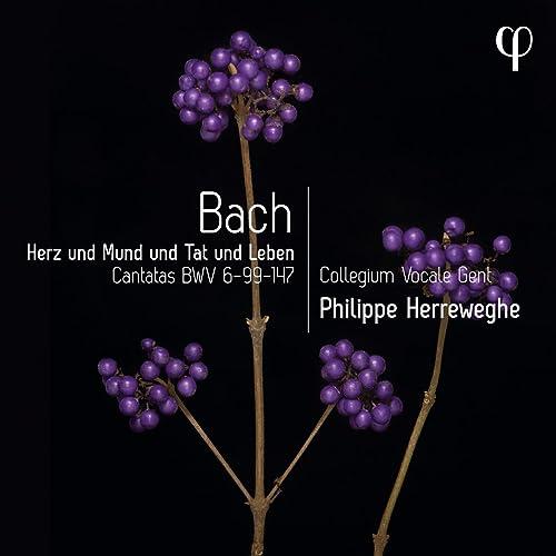 Johann Sebastian Bach: Herz und Mund und Tat und Leben - Kantaten BWV 6, 99 & 147