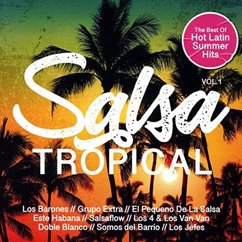 Salsa Tropical Vol.1/Best of Hot Latin Summer Hits