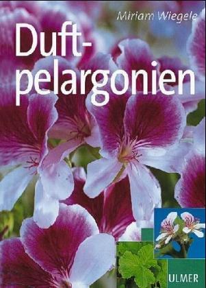 Duftpelargonien