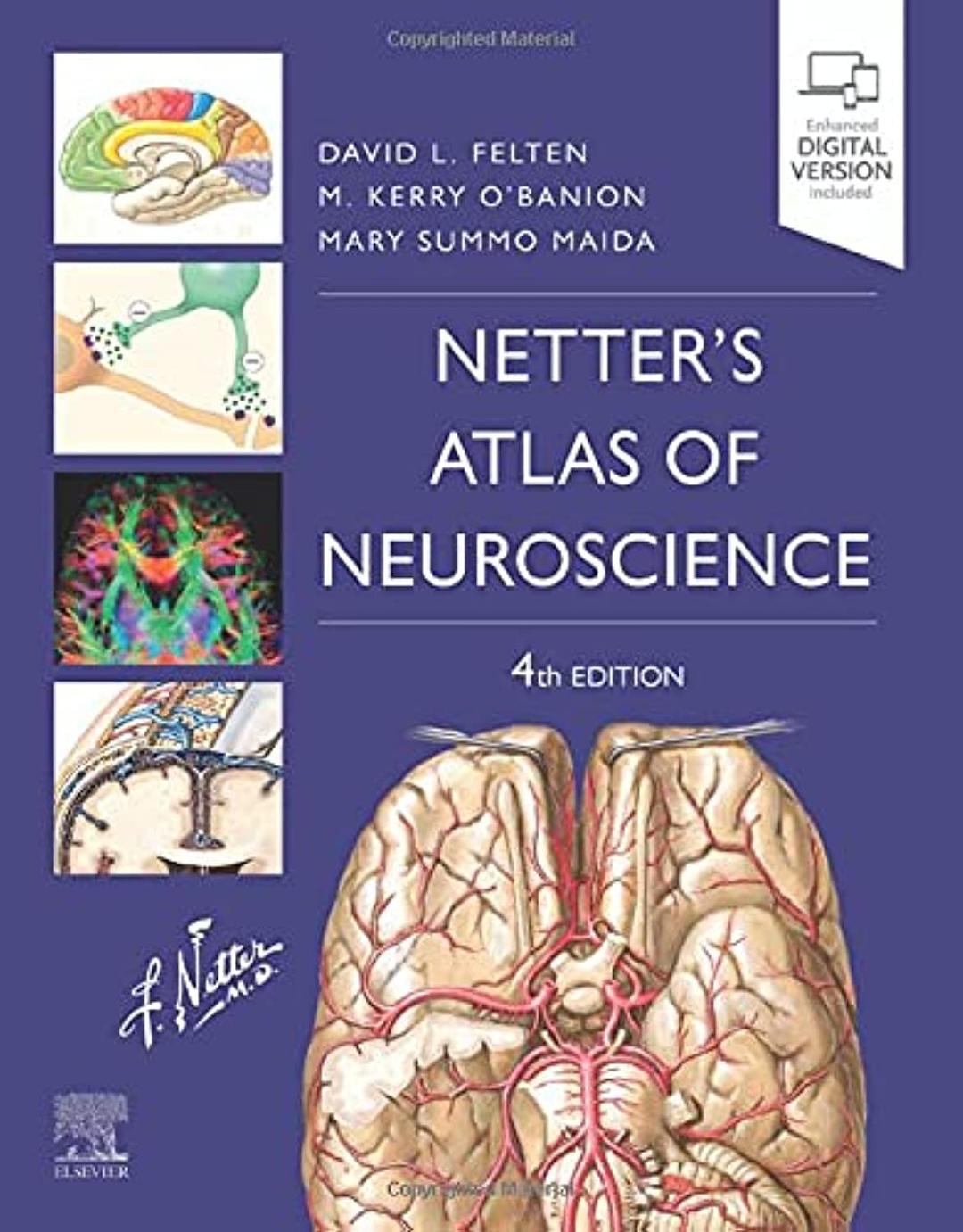 Netter's Atlas of Neuroscience (Netter Basic Science)