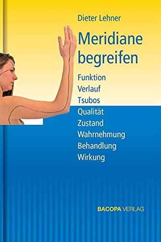 Meridiane begreifen.: Funktion Verlauf Tsubos Qualität Zustand Wahrnehmung