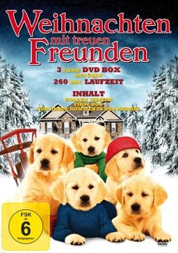 Weihnachten mit treuen Freunden - 3 Filme DVD-Box (Golden Winter - First Dog - Nur Hunde kommen in den Himmel)