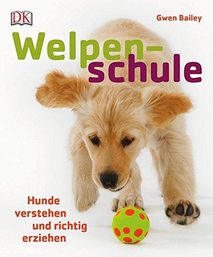 Welpenschule: Hunde verstehen und richtig erziehen