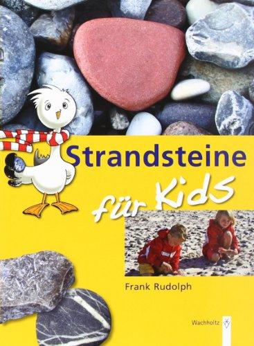 Strandsteine für Kids: Sammeln und Bestimmen