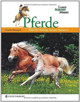 Pferde. Lesen Staunen Wissen