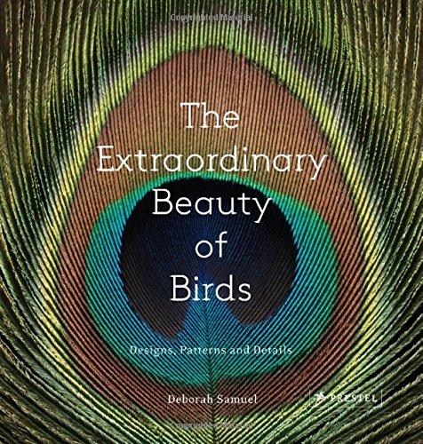 The Extraordinary Beauty of Birds: Designs, Patterns and Details