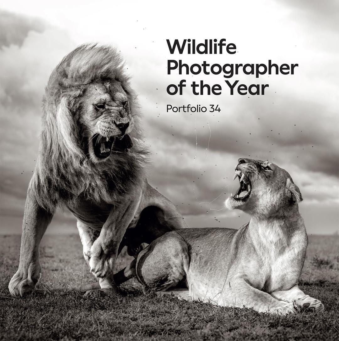 Wildlife Photographer of the Year: Portfolio 34: Volume 34 (Wildlife Photographer of the Year, 34)