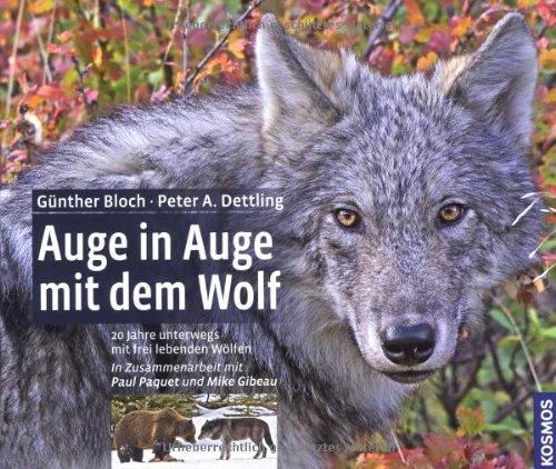 Auge in Auge mit dem Wolf: 20 Jahre unterwegs mit frei lebenden Wölfen