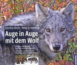 Auge in Auge mit dem Wolf: 20 Jahre unterwegs mit frei lebenden Wölfen