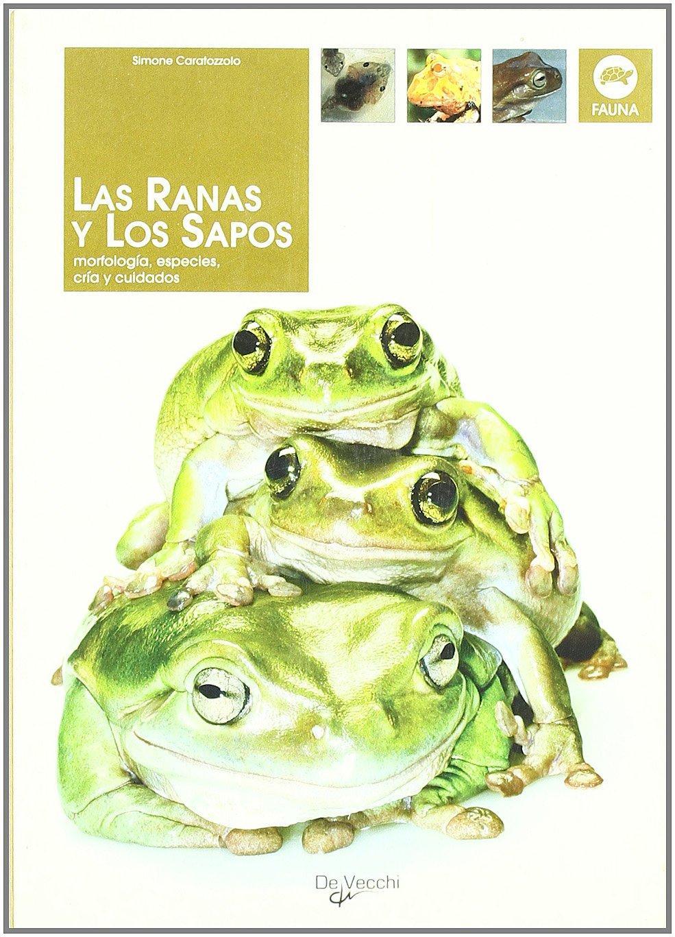 Las ranas y los sapos (Animales)