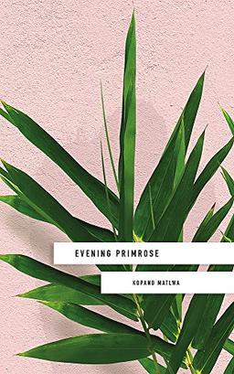 Evening Primrose: a heart-wrenching novel for our times