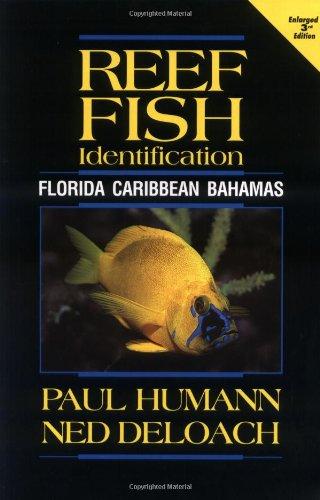 Reef Fish Identification: Florida, Caribbean, Bahamas (Reef Set (New World))