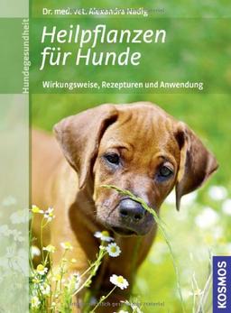 Heilpflanzen für Hunde: Wirkungsweise, Rezepturen und Anwendung