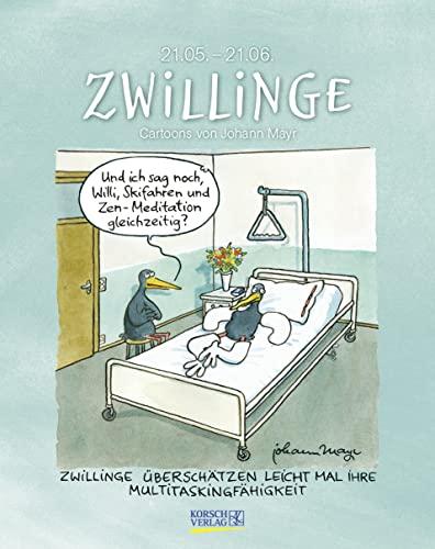 Zwillinge 2023: Sternzeichenkalender-Cartoonkalender als Wandkalender im Format 19 x 24 cm.