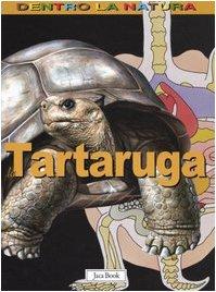 La tartaruga