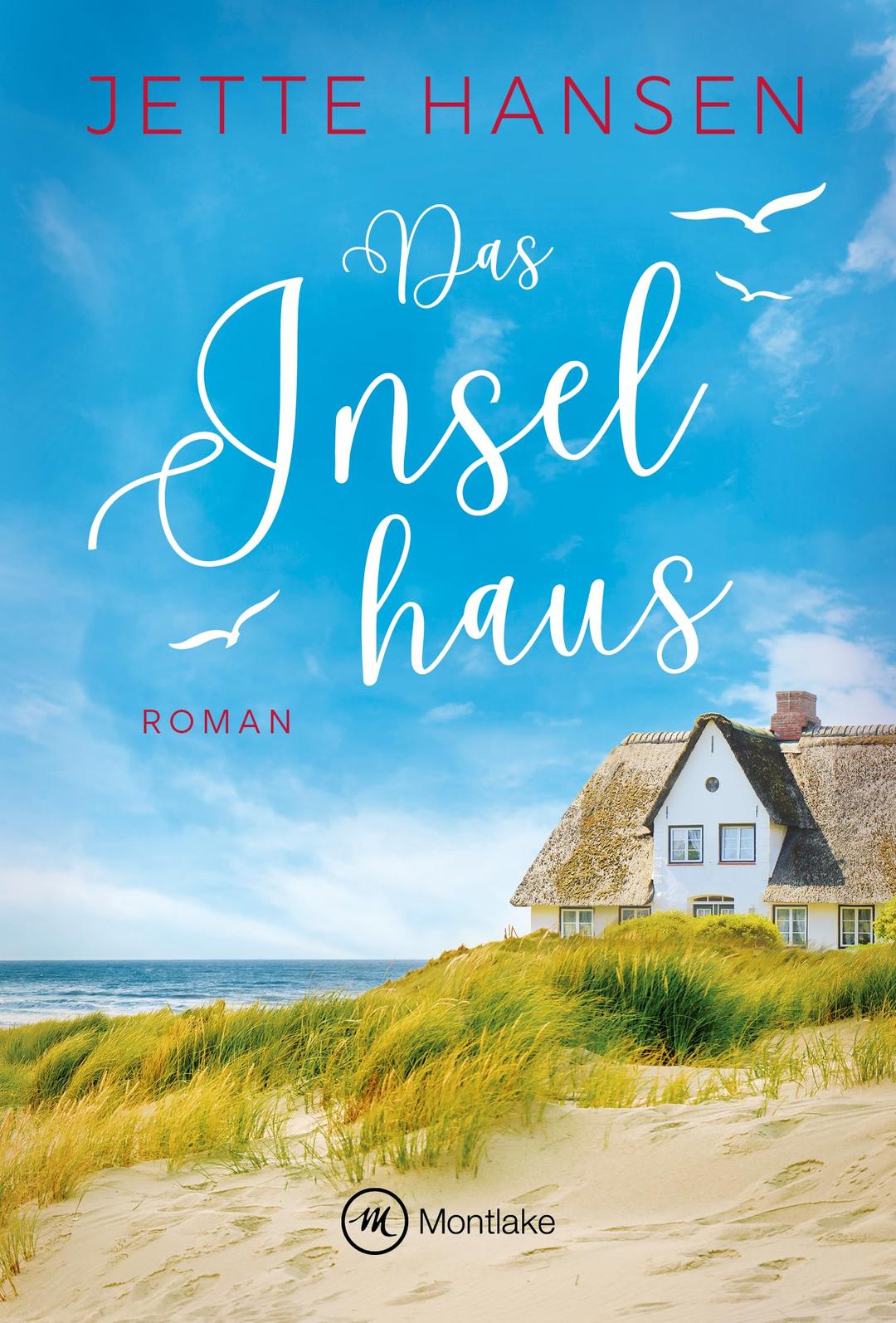 Das Inselhaus (Amrum, Band 1)