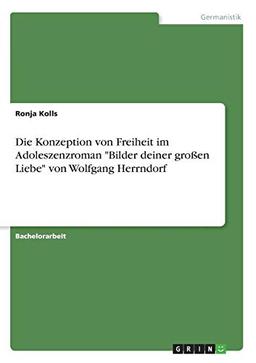 Die Konzeption von Freiheit im Adoleszenzroman "Bilder deiner großen Liebe" von Wolfgang Herrndorf