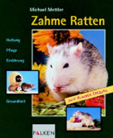 Zahme Ratten