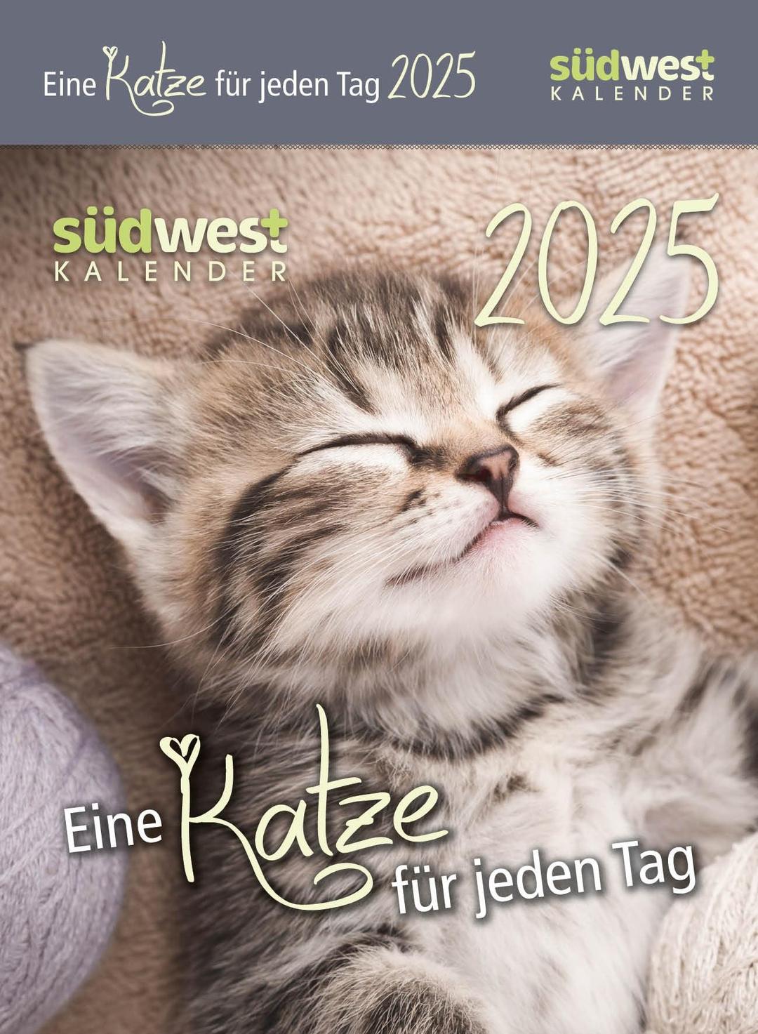 Eine Katze für jeden Tag 2025 - Tagesabreißkalender zum Aufstellen oder Aufhängen