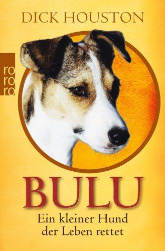 Bulu: Ein kleiner Hund, der Leben rettet