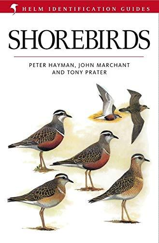 Shorebirds (Helm Identification Guides)