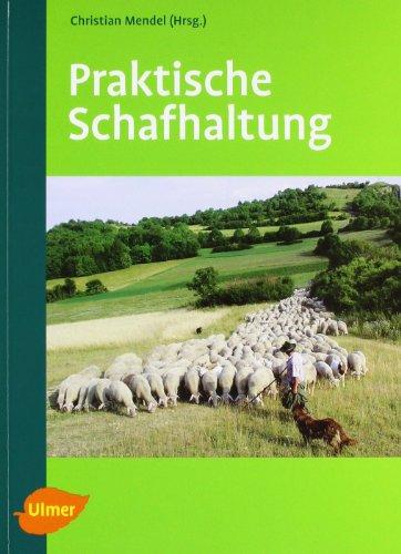 Praktische Schafhaltung