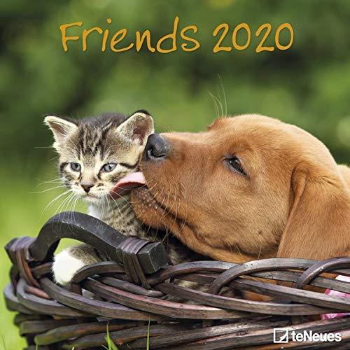 Friends 2020