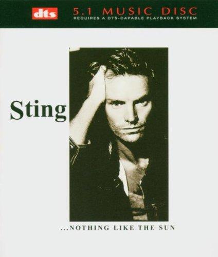 Nothing Like the Sun [DVD-AUDIO]