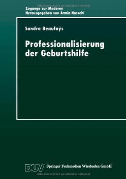 Professionalisierung der Geburtshilfe: Machtverhältnisse im Gesellschaftlichen Modernisierungsprozeß (Zugänge zur Moderne)