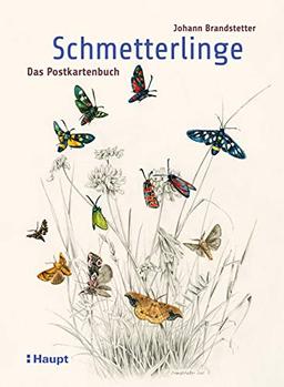 Schmetterlinge - Das Postkartenbuch