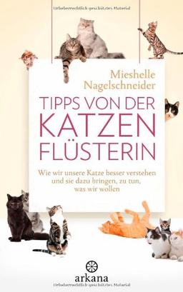 Tipps von der Katzenflüsterin: Wie wir unsere Katze besser verstehen und sie dazu bringen, zu tun, was wir wollen