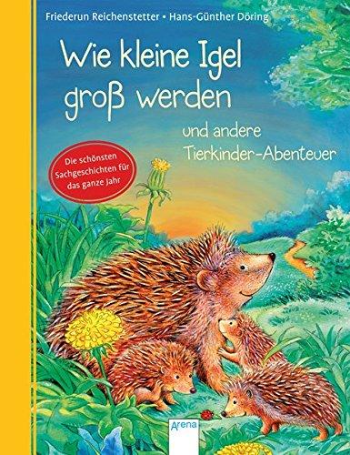 Wie kleine Igel groß werden und andere Tierkinder-Abenteuer: Die schönsten Sachgeschichten für das ganze Jahr: