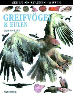 Greifvögel & Eulen: Jäger der Lüfte