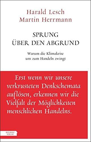 Sprung über den Abgrund: Warum die Klimakrise uns zum Handeln zwingt