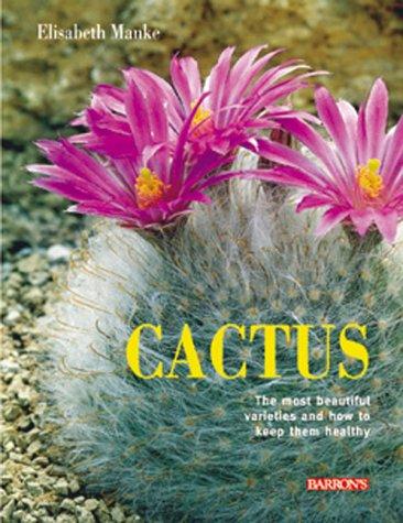 Cactus: The Most Beautiful Species and Their Care