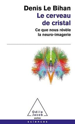 Le cerveau de cristal : ce que nous révèle la neuro-imagerie