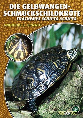 Die Gelbwangenschmuckschildkröte: Tracheyms scripta scripta (Art für Art / Terraristik)