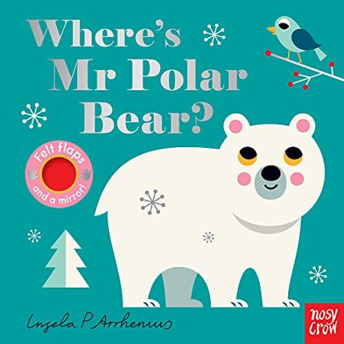 Where's Mr Polar Bear? (Felt Flaps)