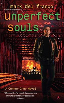 Unperfect Souls (Connor Grey, Band 4)