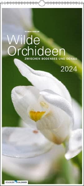 Wilde Orchideen 2024: zwischen Bodensee und Donau